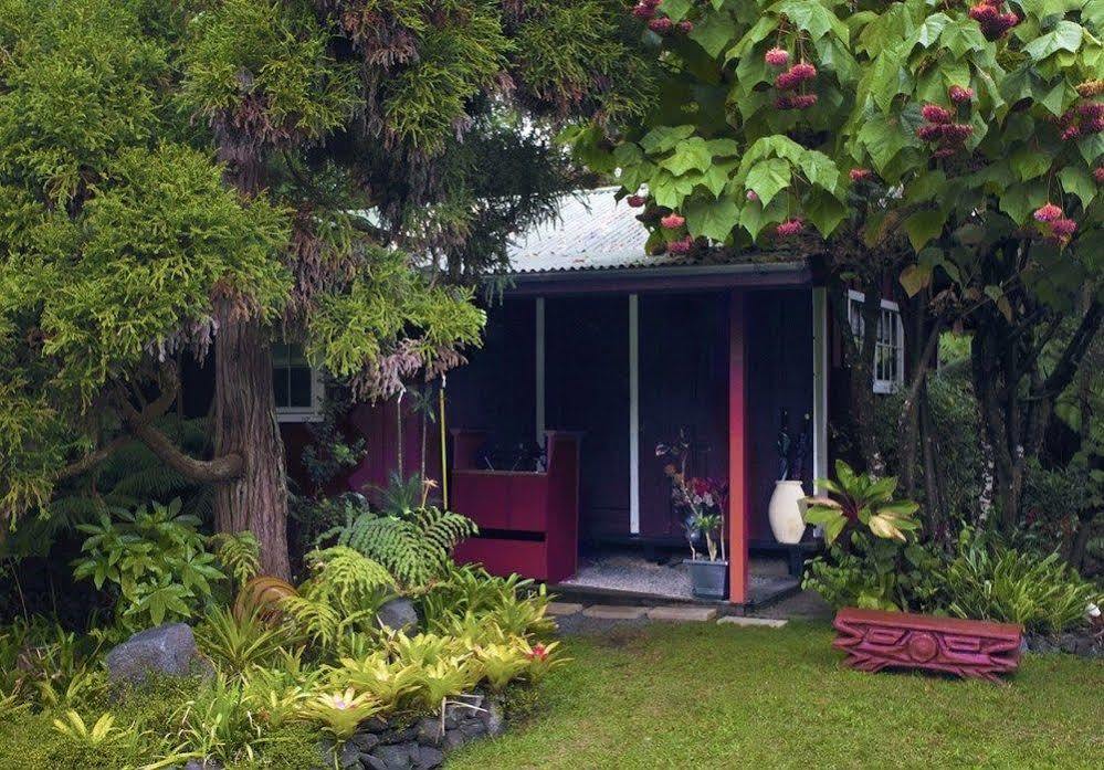 Volcano Artist Cottage Eksteriør billede