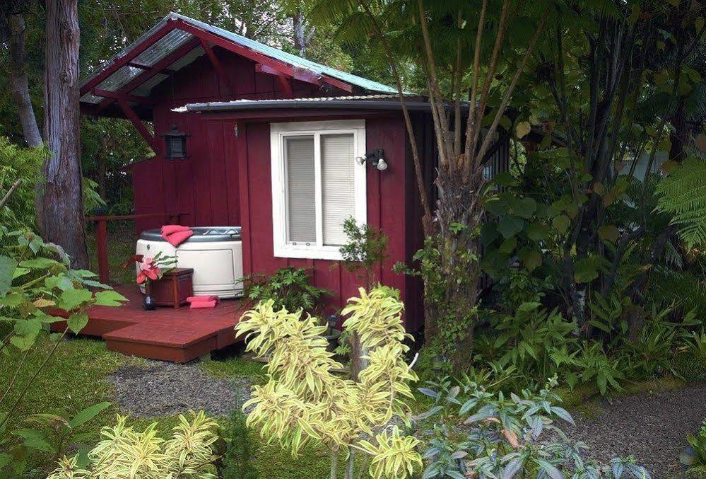 Volcano Artist Cottage Eksteriør billede